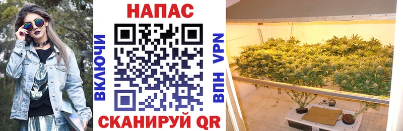 Конопля White Widow Рыбное
